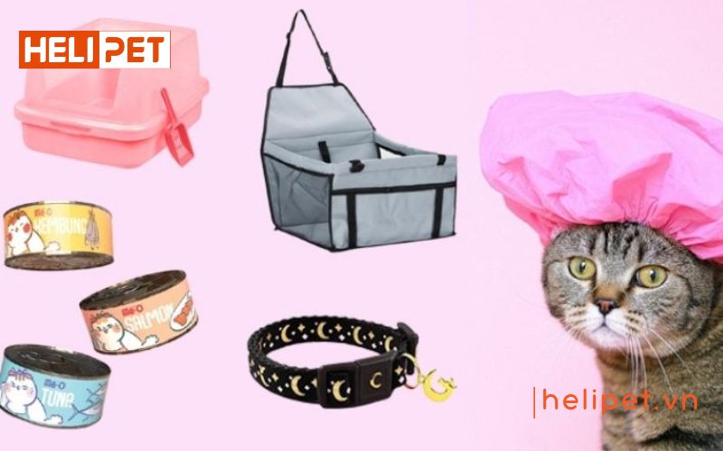 dấu hiệu mèo sắp đẻ