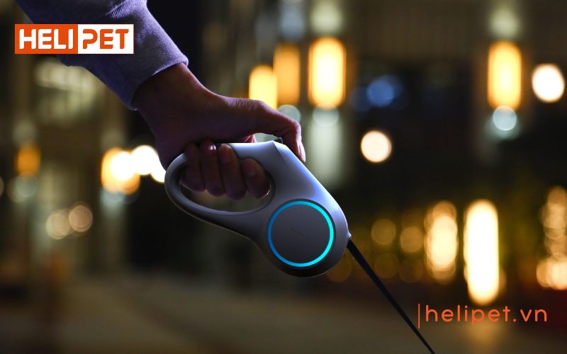 Dây dắt chó mèo PETKIT