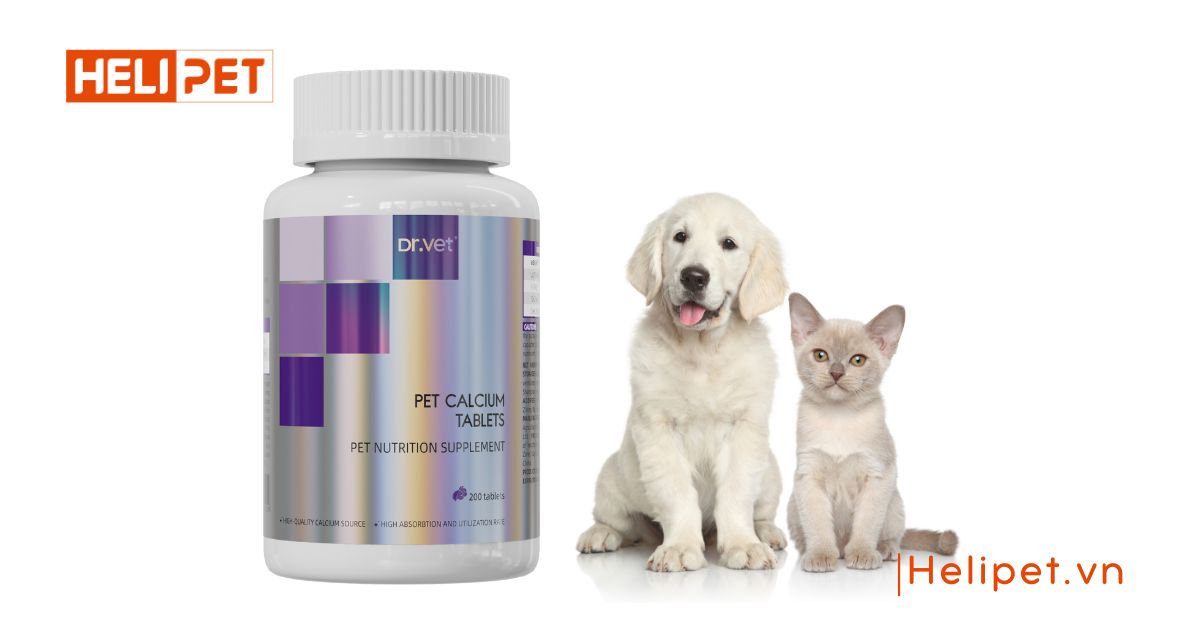 Hình ảnh viên bổ sung canxi DR.VET cho chó mèo