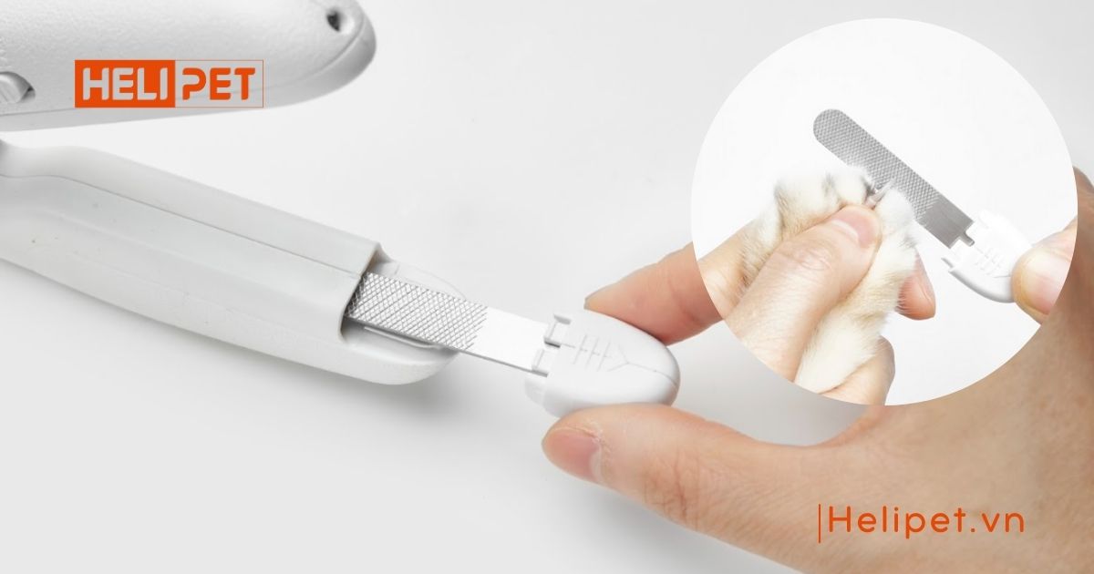 Kềm cắt móng chó mèo Petkit Pro