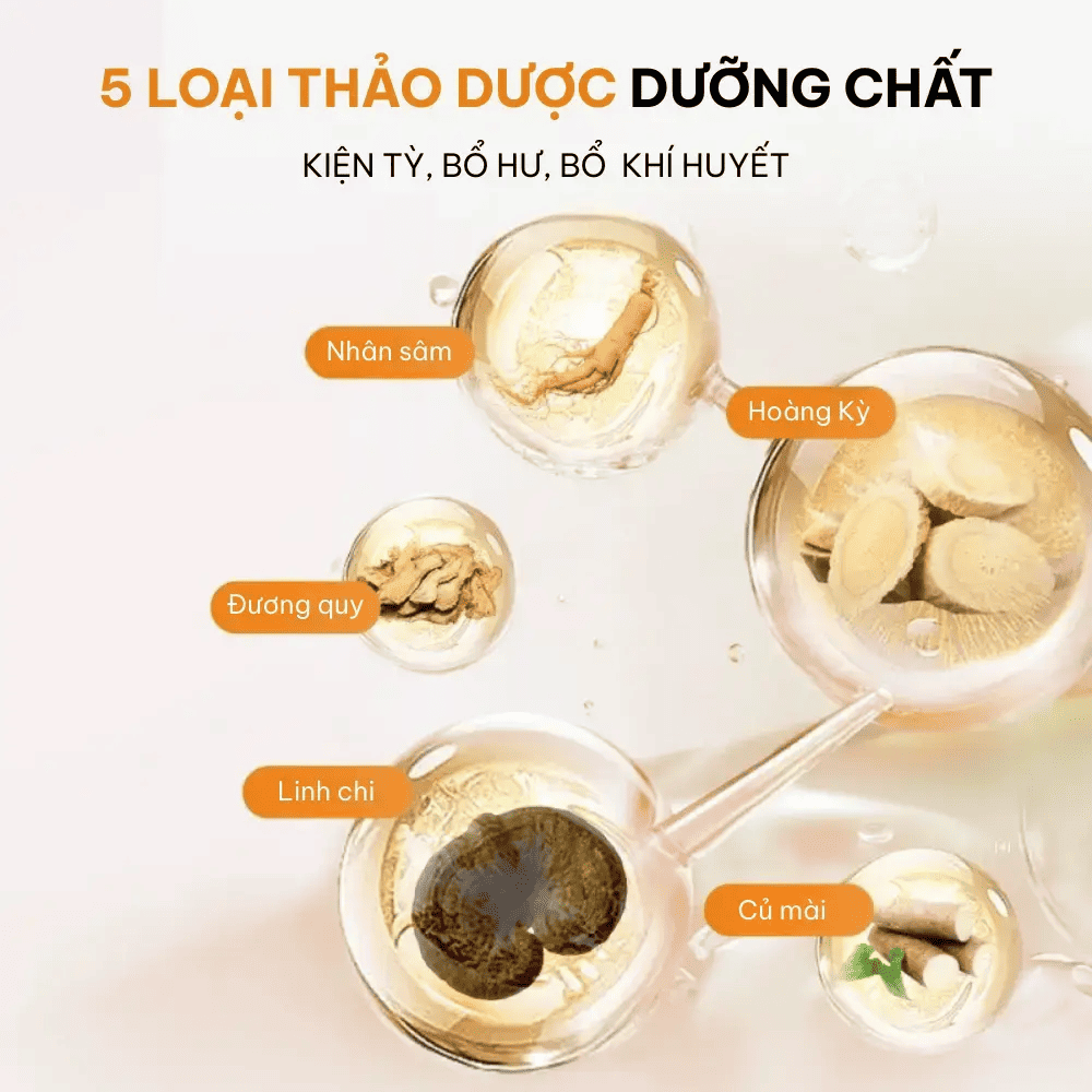 Thành phần thiên nhiên, an toàn