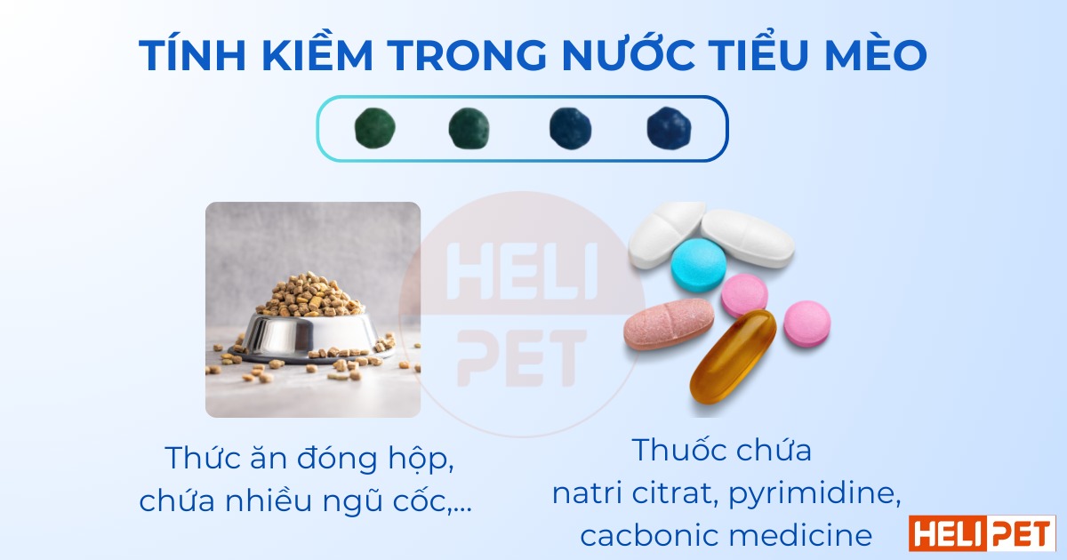 hạt kiểm tra độ pH trong nước tiểu mèo Dr.Vet
