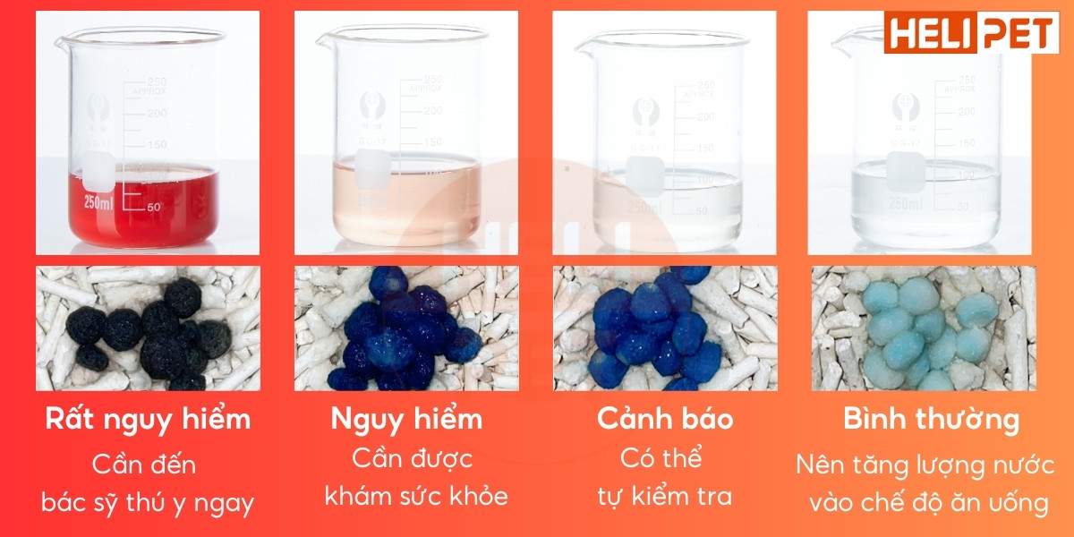 hạt phát hiện máu DR.VET