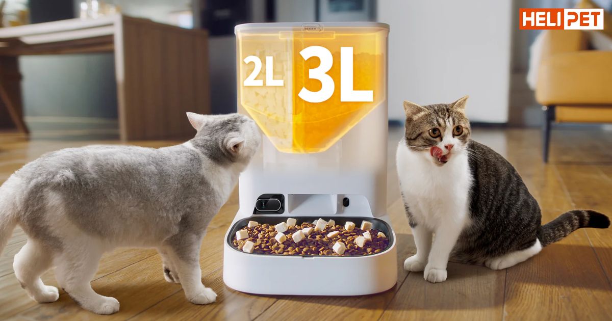 Không lo Boss đói, giúp Boss ăn ngon hơn với đa dạng loại thức ăn với máy cho ăn tự động PETKIT Yumshare Dual-hopper (Gemini) - 2 ngăn chứa
