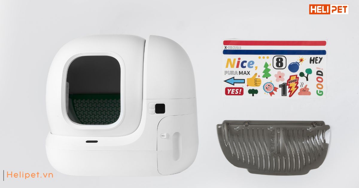 Hướng dẫn mèo đi vệ sinh vào máy dọn vệ sinh