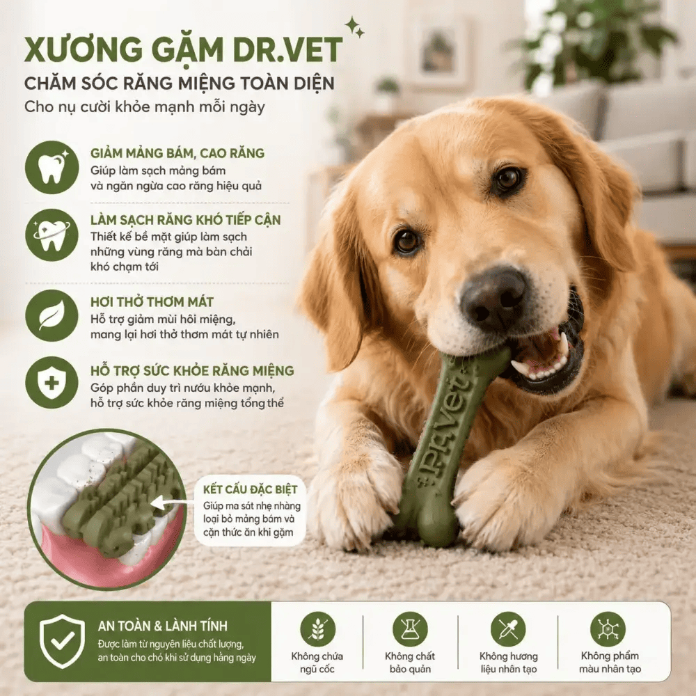 Lợi ích của xương gặm sạch răng cho chó Dr.Vet