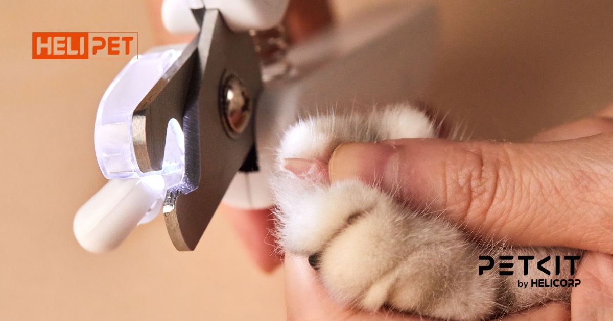 kềm cắt móng chó mèo Petkit