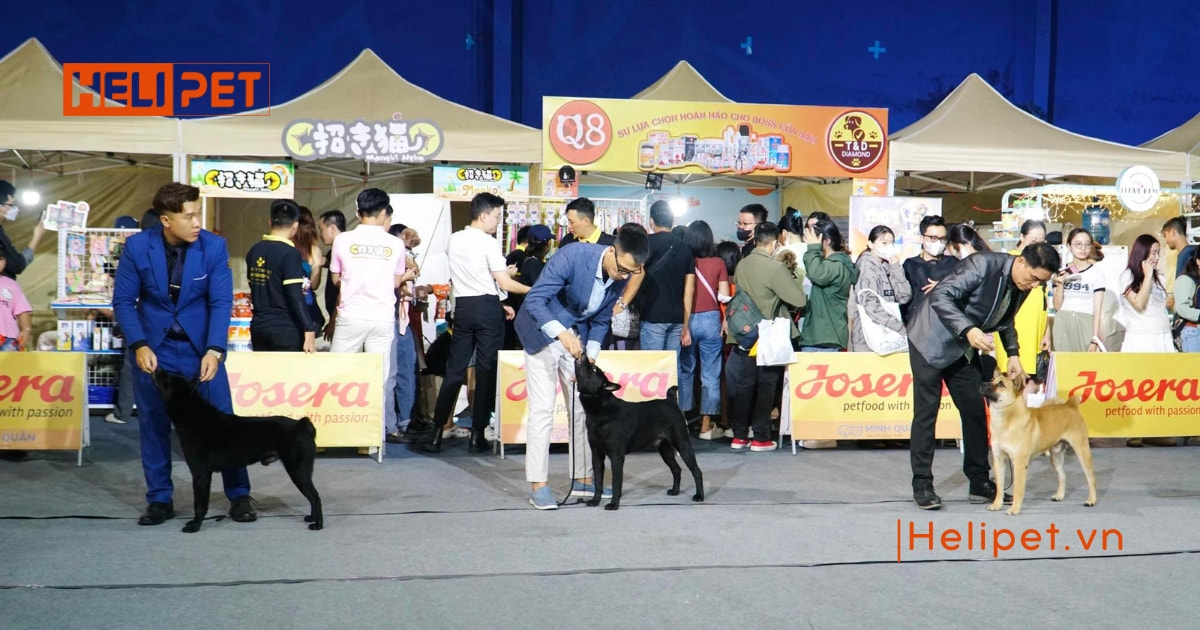 Vietnam Pet Festival 2024