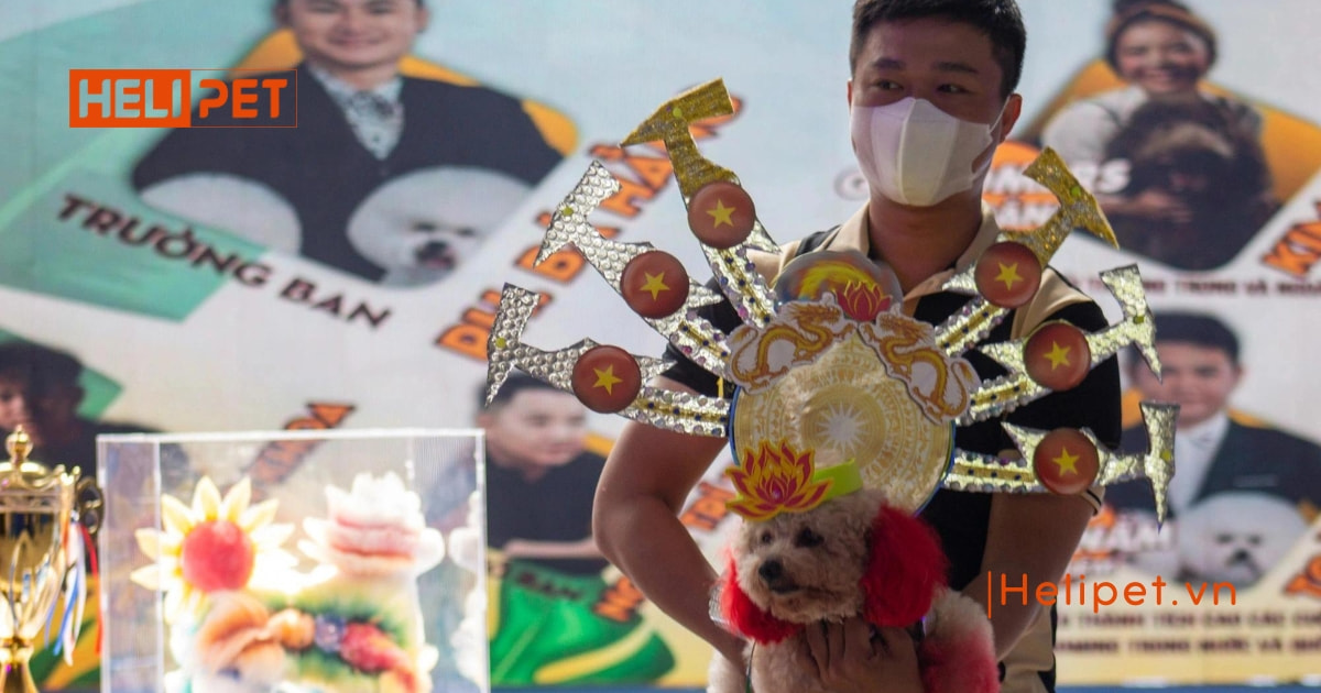 Lễ hội Cá cảnh Thú cưng