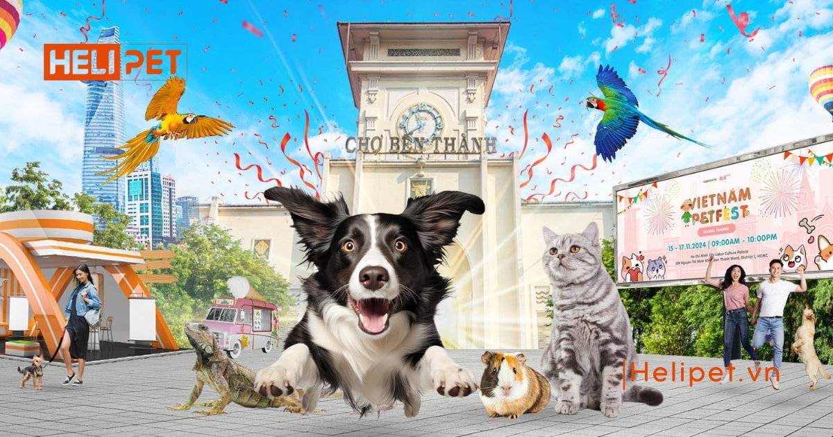 Vietnam Pet Festival 2024