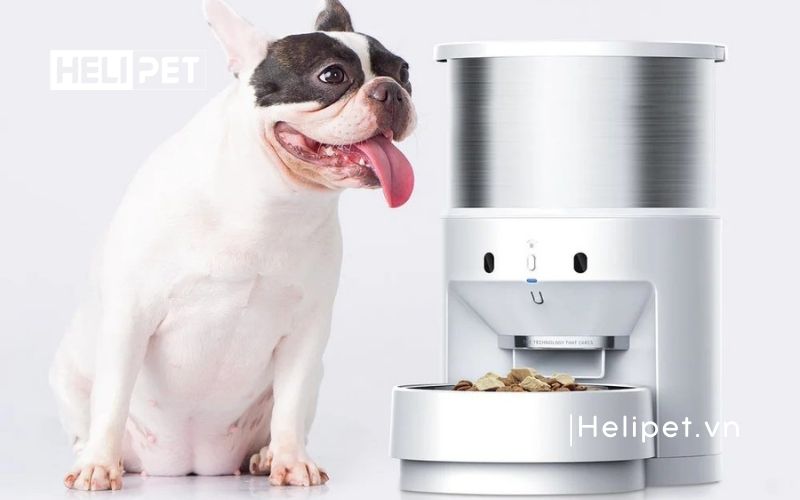 máy cho ăn tự động