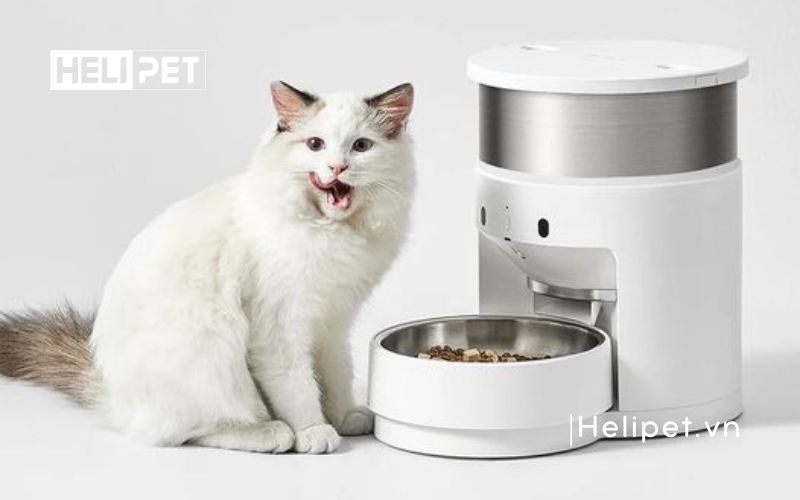 máy cho ăn tự động