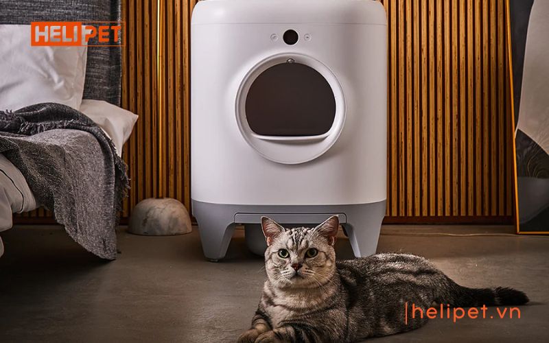 máy dọn vệ sinh mèo PETKIT PURA X NEW 2024