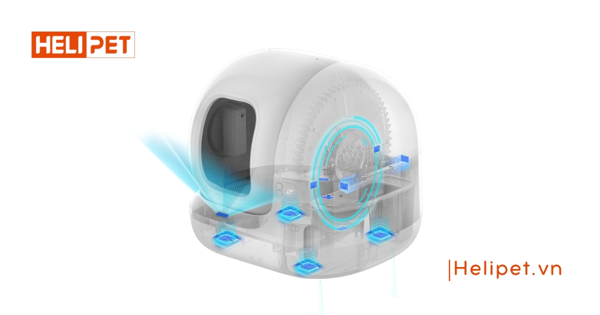 máy dọn vệ sinh mèo Petkit