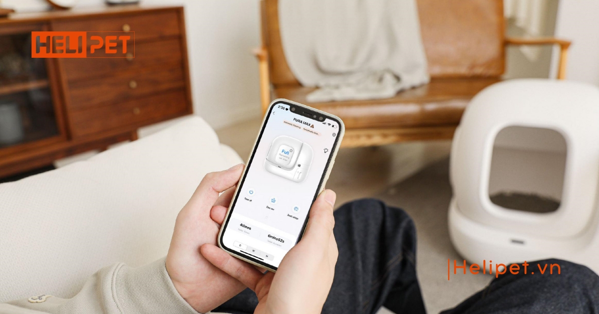 máy dọn vệ sinh mèo Petkit