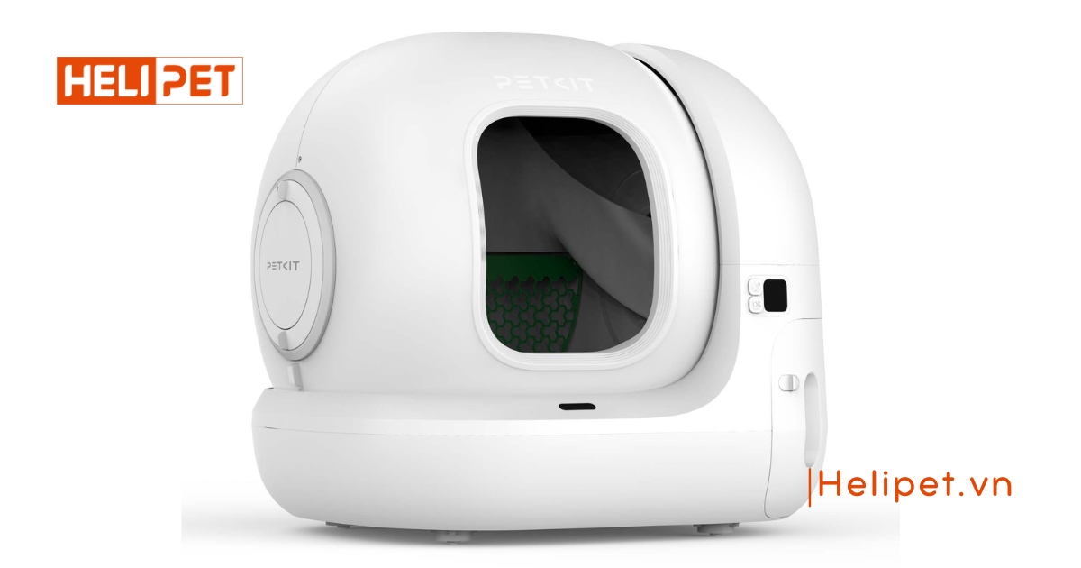 máy dọn vệ sinh mèo Petkit