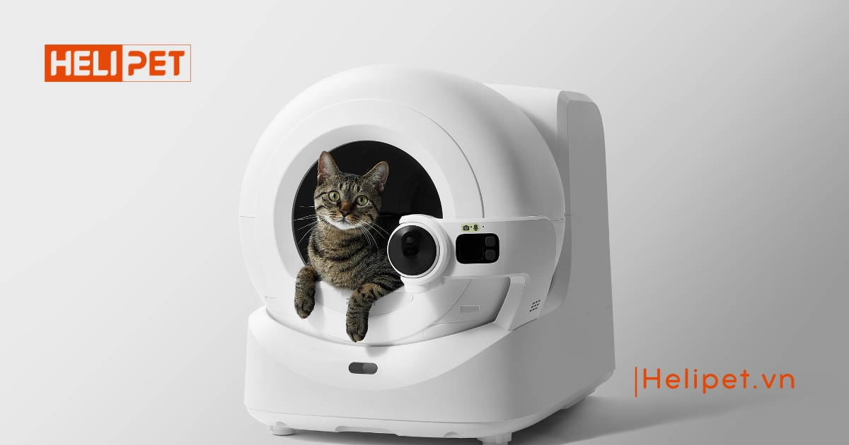 máy dọn vệ sinh mèo Petkit