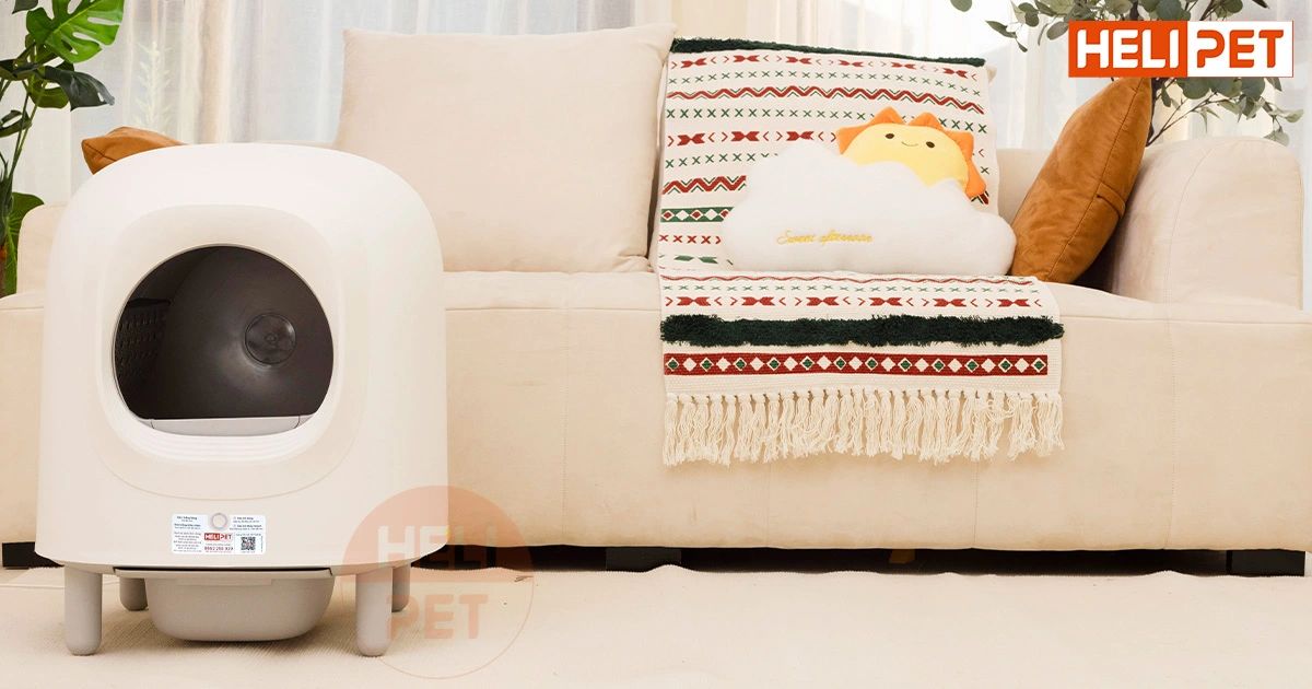 Máy dọn vệ sinh mèo Petree