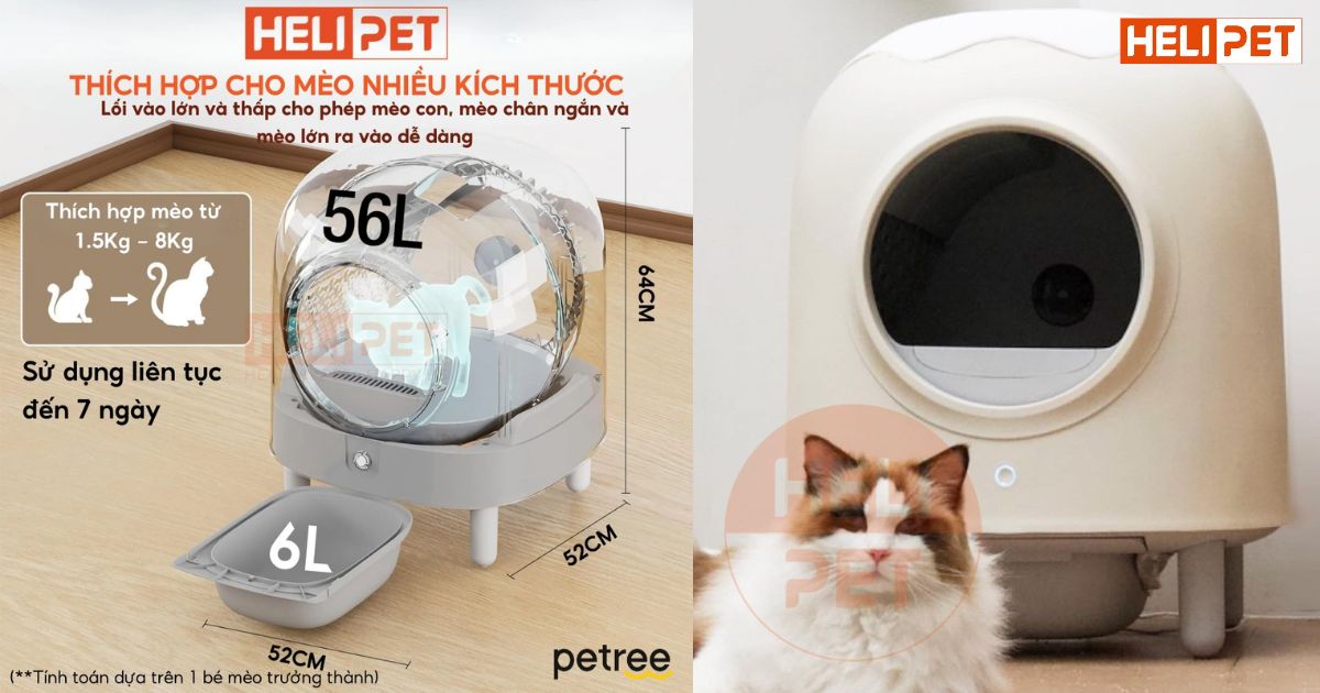 máy dọn vệ sinh tự động Petree Pro