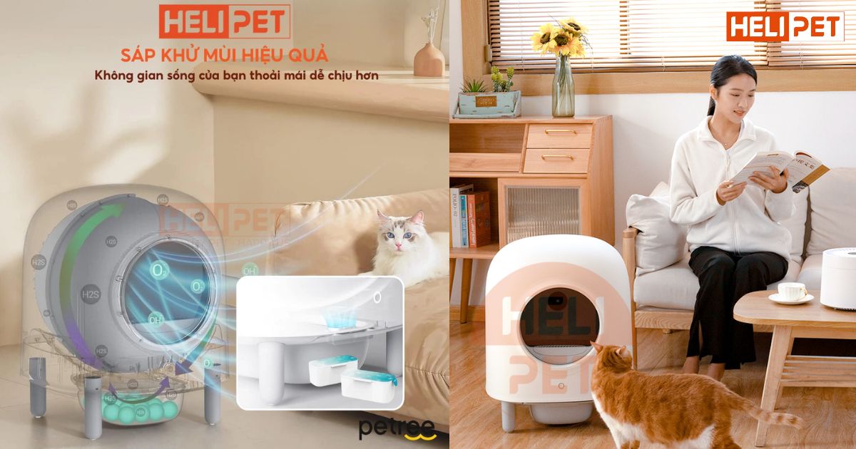 máy dọn vệ sinh tự động Petree Pro