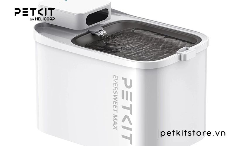 máy lọc nước cho chó mèo