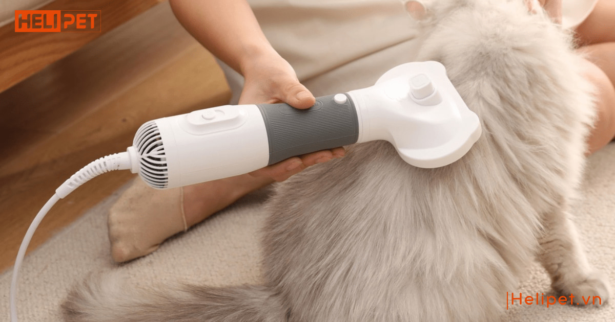 Máy sấy lông chó mèo