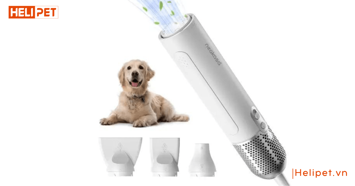 Máy sấy lông chó mèo