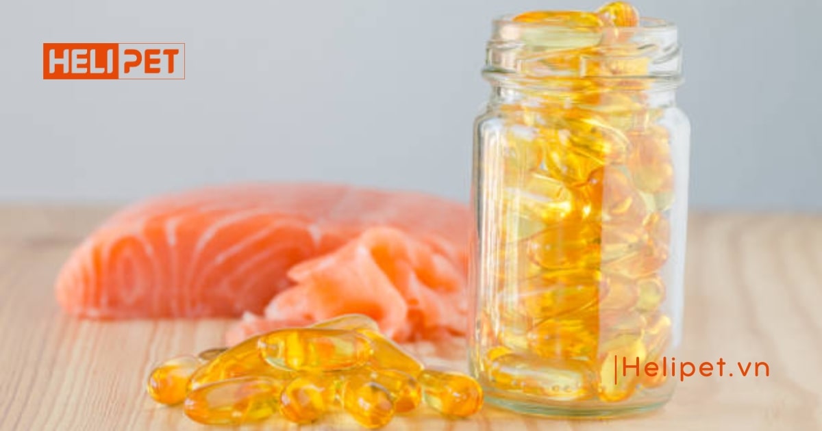 Mèo có ăn được dầu cá của người không