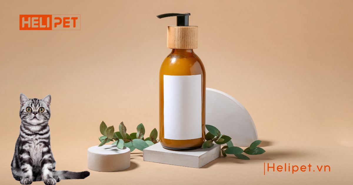 mèo bị nấm có nên tắm không