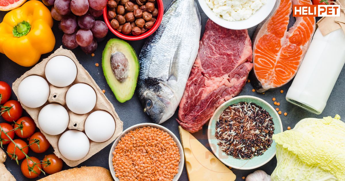 Mèo bị rụng lông ở đầu