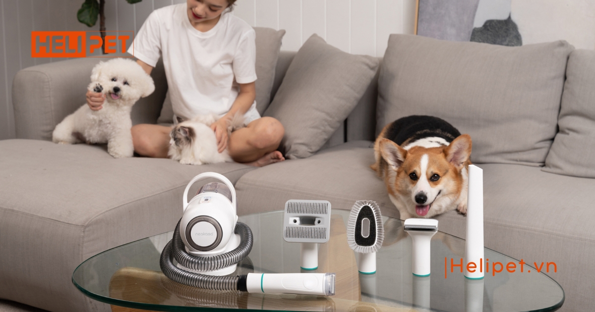 Máy chải hút lông chó mèo Neakasa P1 Pro 5in1, lựa chọn tốt nhất cho bộ lông của pet yêu