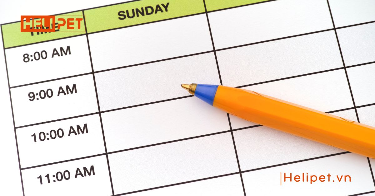 mèo bị trầm cảm sau triệt sản