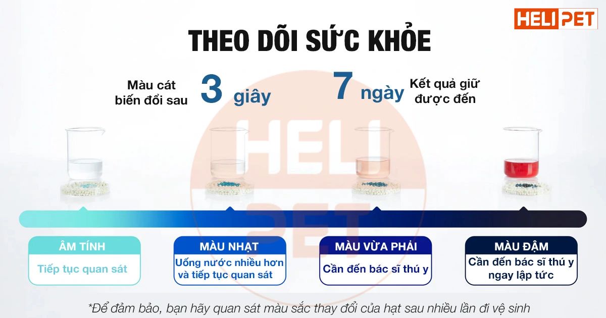 Mèo bị viêm đường tiết niệu