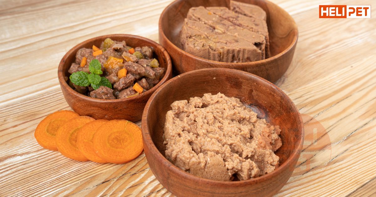 Mèo bị viêm tai bỏ ăn
