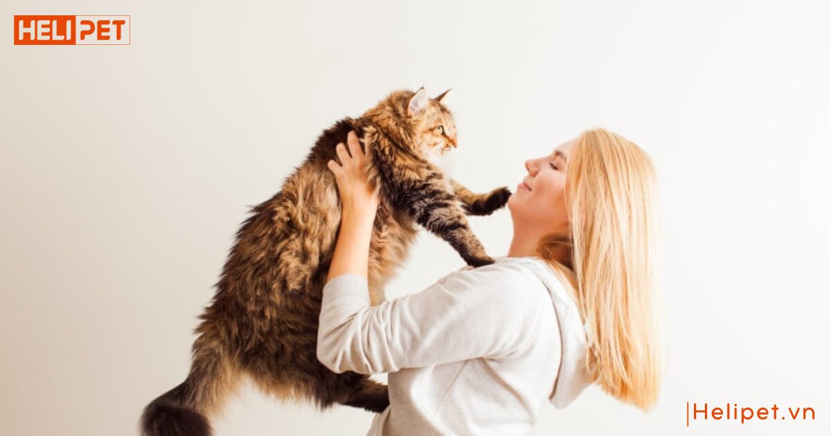 mèo không ăn bao lâu thì chết