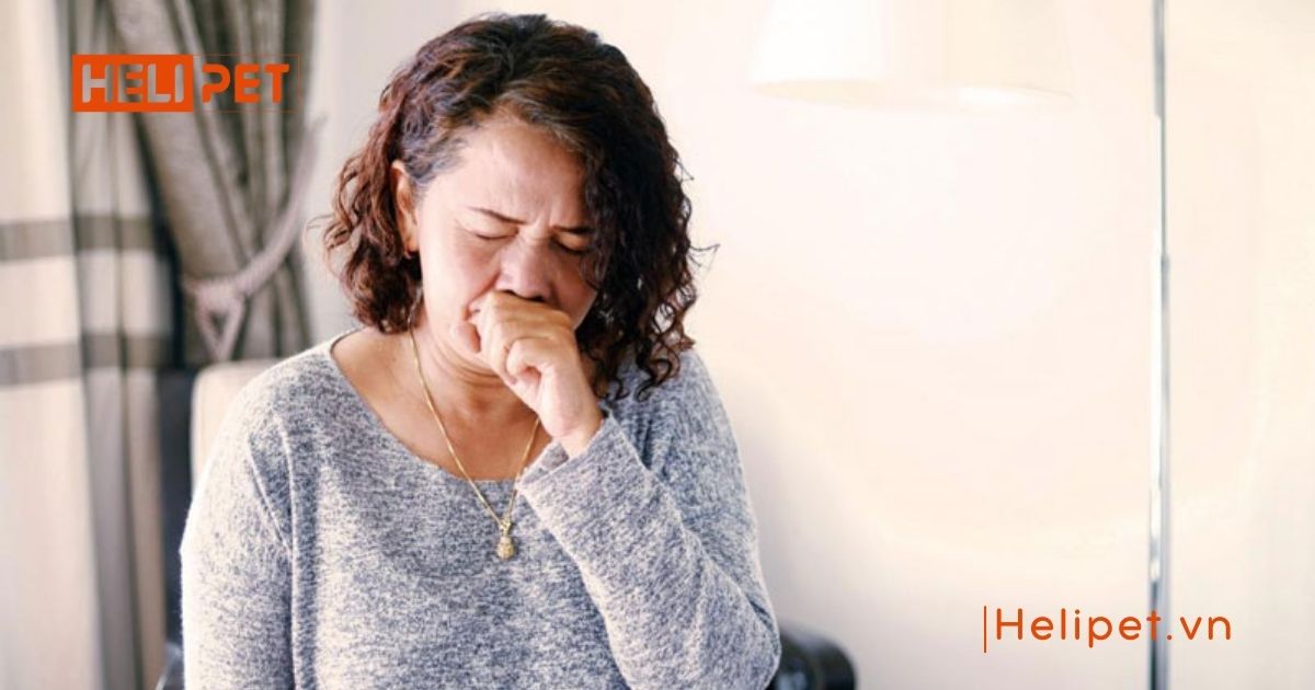 Mèo bị giun có lây sang người không