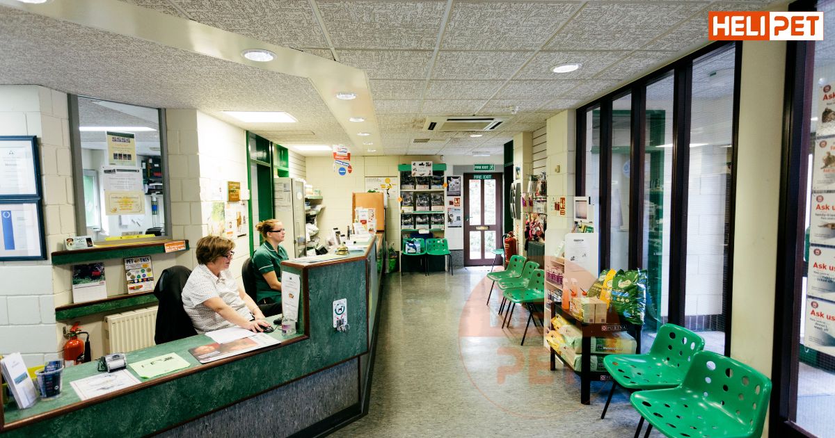 Mua thuốc trị ve chó ở đâu