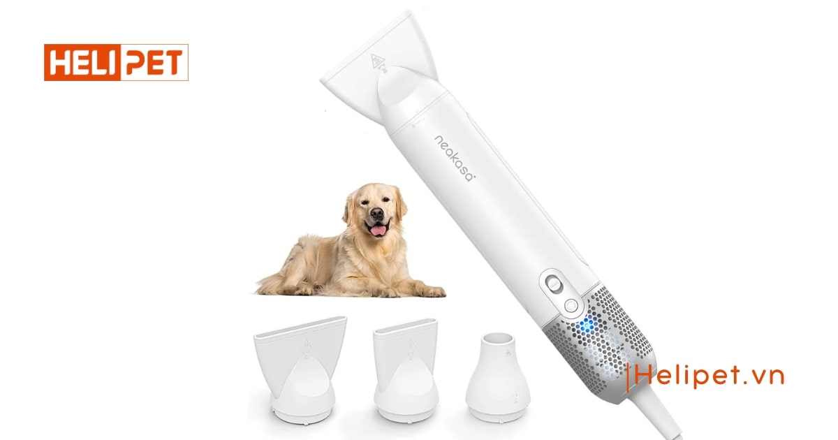 Máy sấy lông chó mèo Neakasa F1