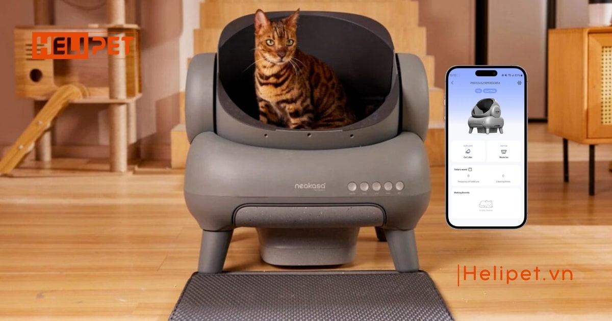 Máy dọn vệ sinh cho mèo Neakasa M1