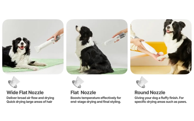 máy sấy lông chó mèo Neakasa F1