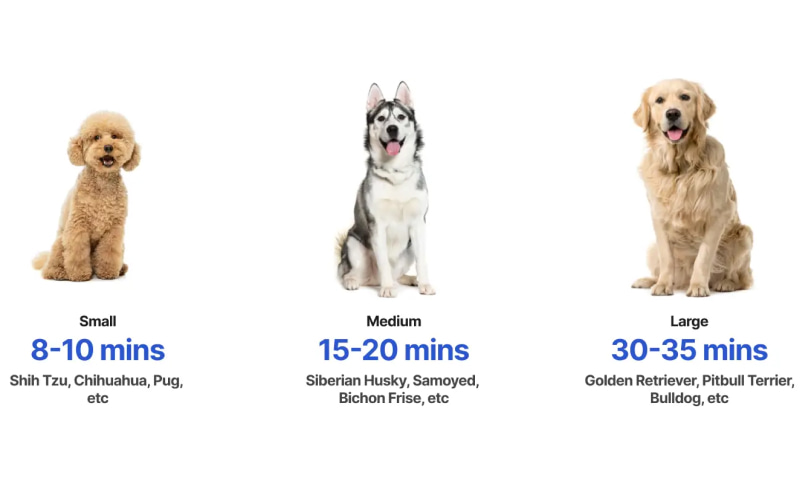 máy sấy lông chó mèo Neakasa F1