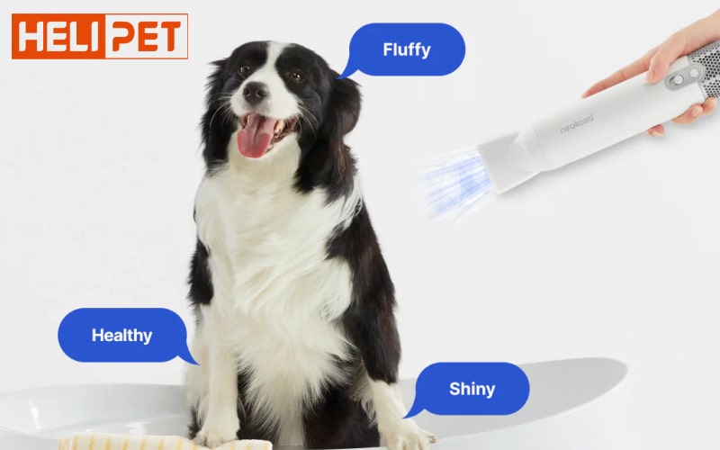 máy sấy lông chó mèo Neakasa F1