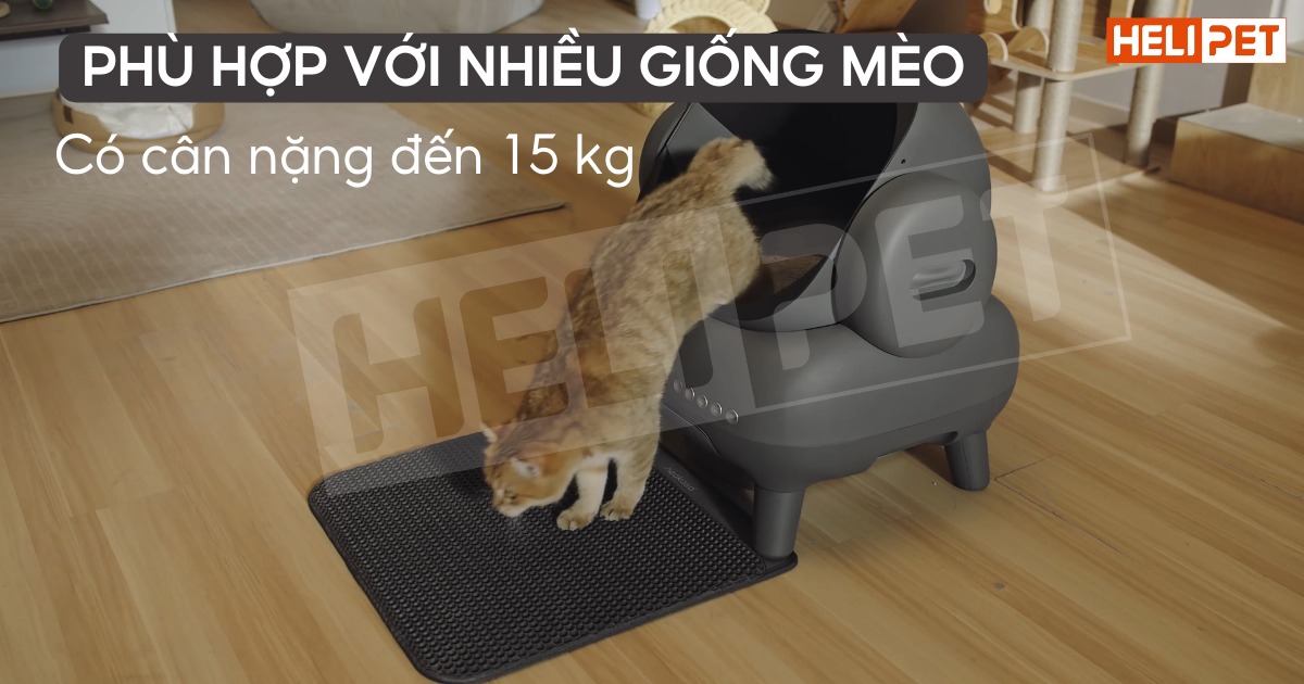 Máy dọn vệ sinh mèo Neakasa M1