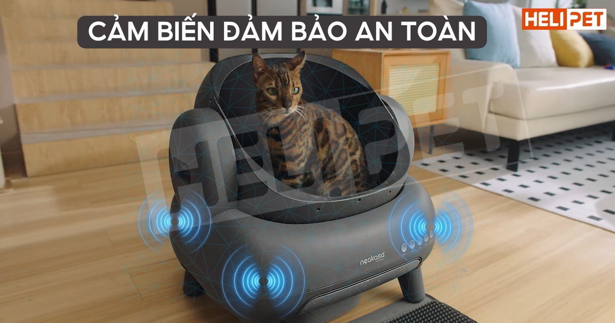 Máy dọn vệ sinh mèo Neakasa M1