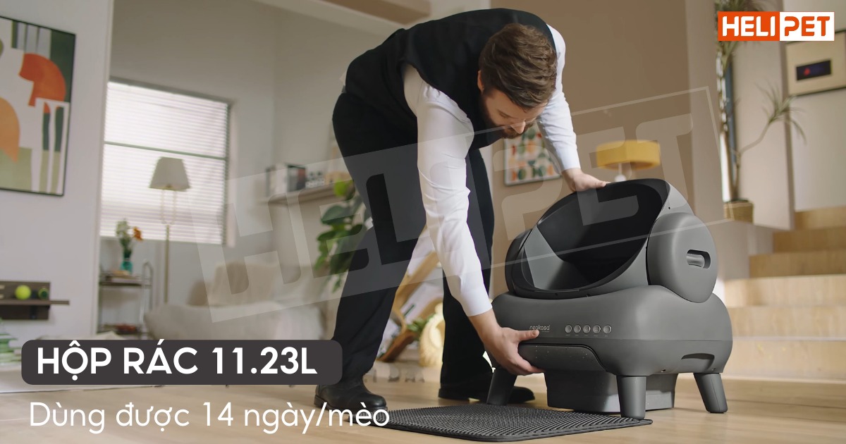 Máy dọn vệ sinh mèo Neakasa M1