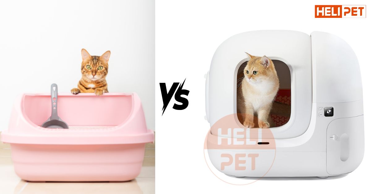 nhà vệ sinh cho mèo khử mùi