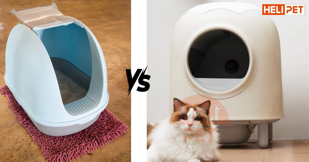 nhà vệ sinh cho mèo khử mùi