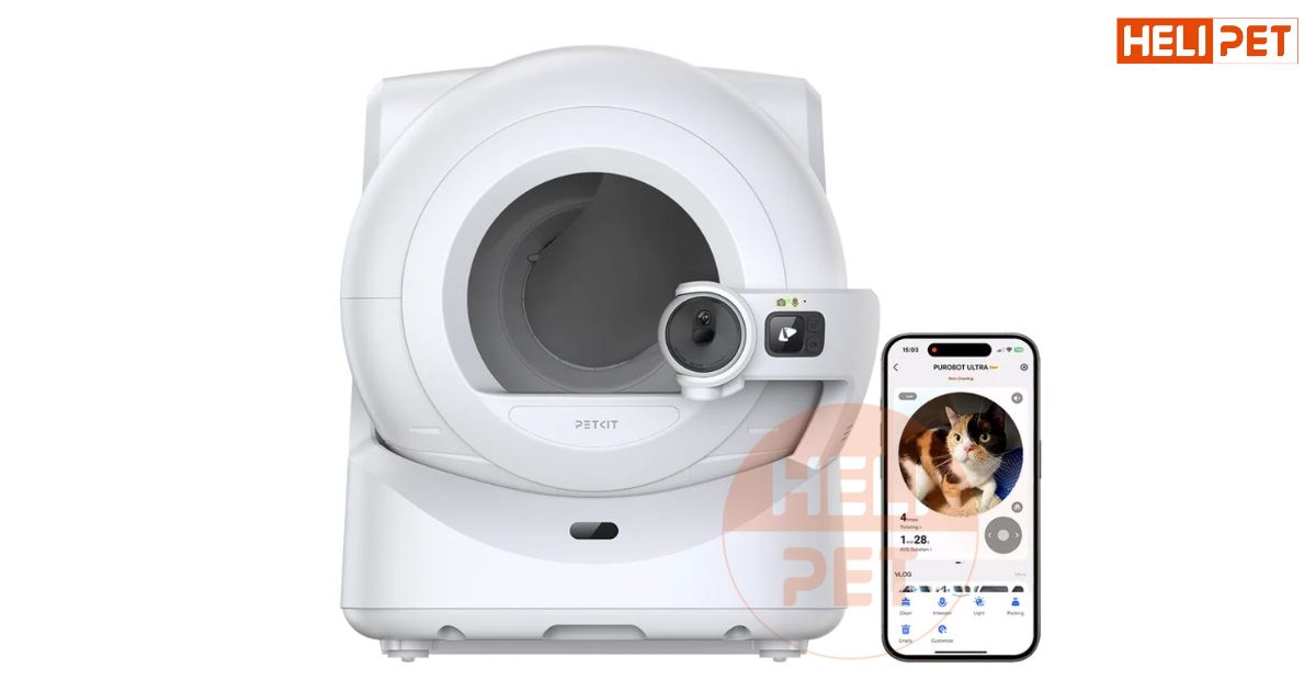 nhà vệ sinh cho mèo khử mùi