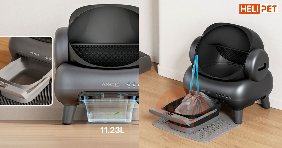 nhà vệ sinh cho mèo khử mùi