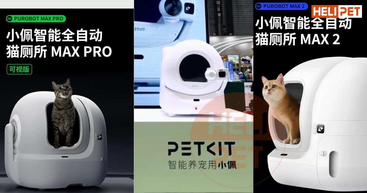 PET FAIR ASIA 2024